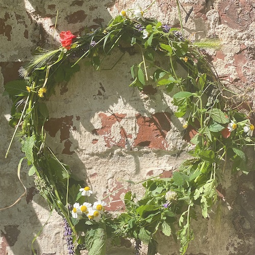 Wildkräuterspaziergang um die Sommersonnenwende mit Laura Lemmes bei Komjun in Köln