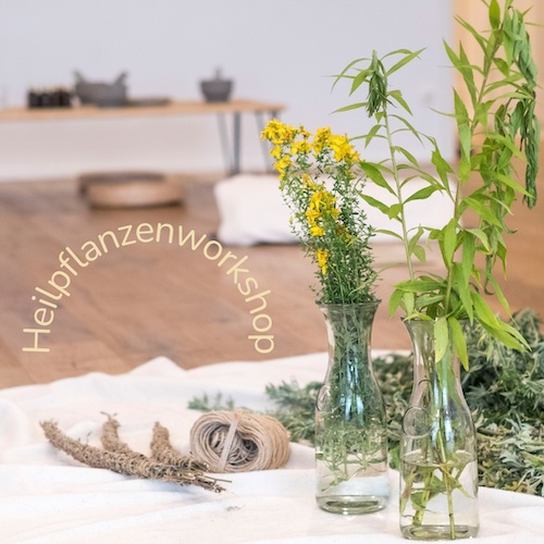 Heilpflanzenworkshop-Regulierung des Nervensystems mit Laura Lemmes bei Komjun Köln Sülz